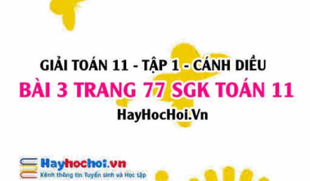 Giải bài 3 trang 77 Toán 11 tập 1 SGK Cánh Diều